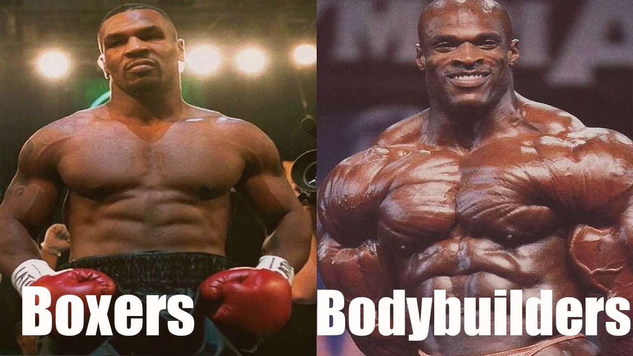 Boxers and Bodybuilders