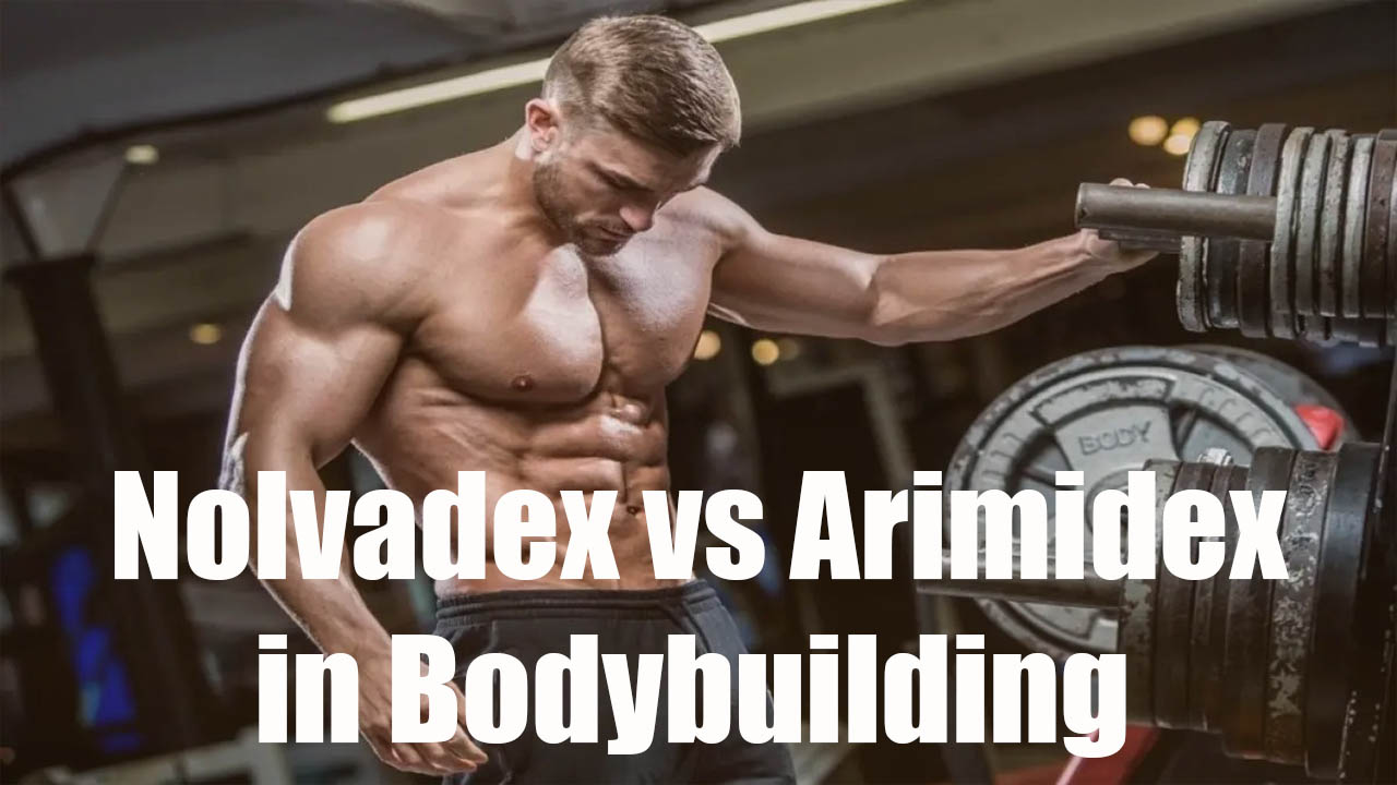 Nolvadex vs Arimidex in Bodybuilding